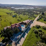 Βίλα Palm Grande - Huge House 7 Bedroom Sleeps 31 Heat Pool Jacuzzi Sauna Pool Table T Tennis