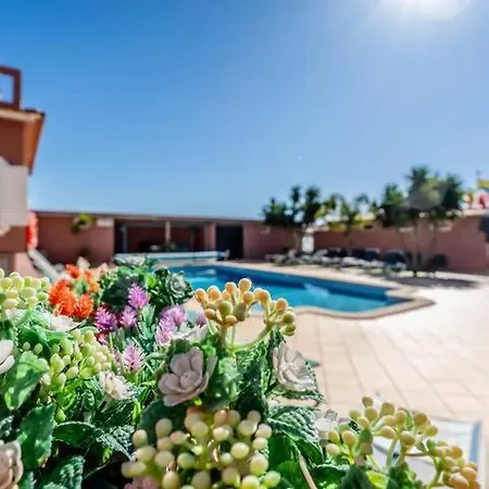 Palm Grande - Huge House 7 Bedroom Sleeps 31 Heat Pool Jacuzzi Sauna Pool Table T Tennis